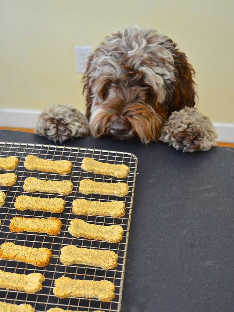 Make your dog's day by baking some healthy, 3 ingredient, wheat-free & dairy-free Sweet Potato Dog Treats!