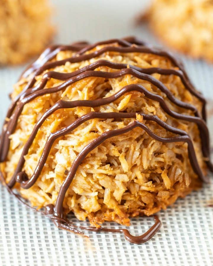 a chocolate covered vegan coconut macaroon