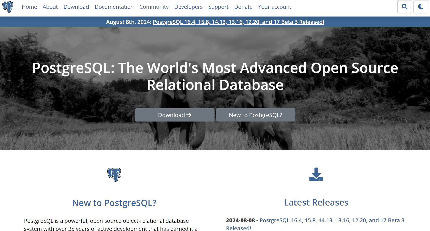 PostgreSQL image